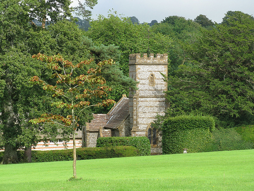 Up Cerne Church